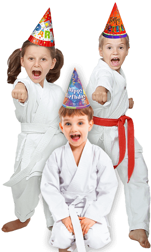 Martial Arts Birthday Party for Kids in Centreville VA - Birthday Punches Page Banner